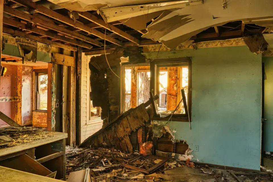 Leading Mold Removal Company in Brookhaven — Brookhaven, GA